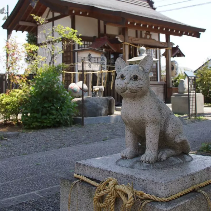 東京の初詣スポット特集 東京都内＆関東の神社・お寺一覧 - OZmall