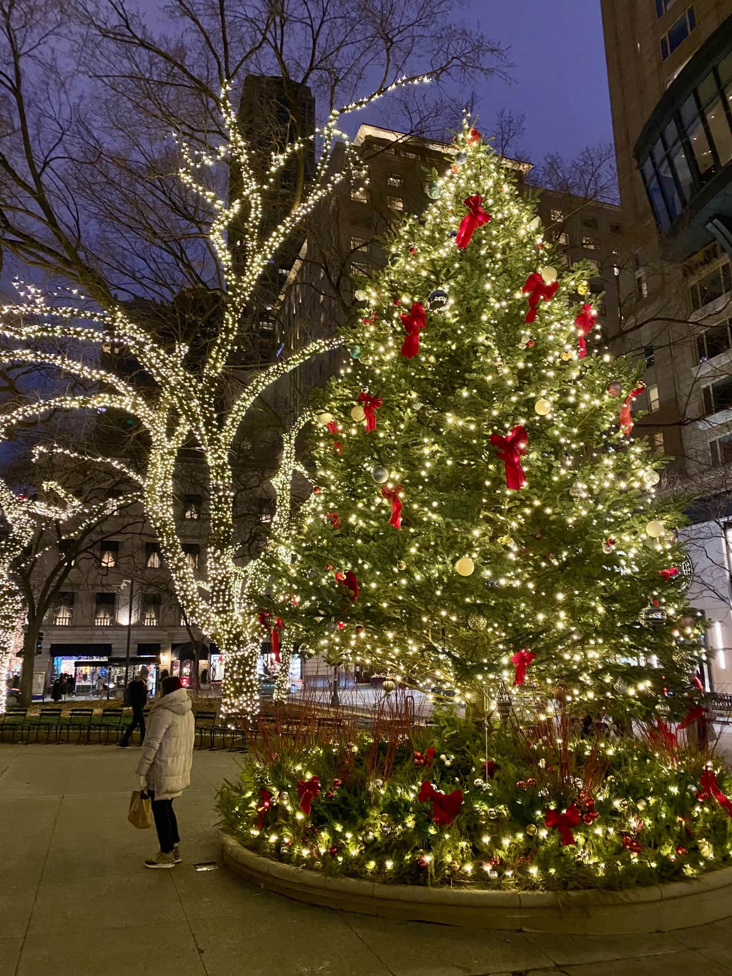 クリスマスシーズンにおすすめな英語絵本の読み聞かせ「Home Alone 2 Lost in New York」│子どもの英語