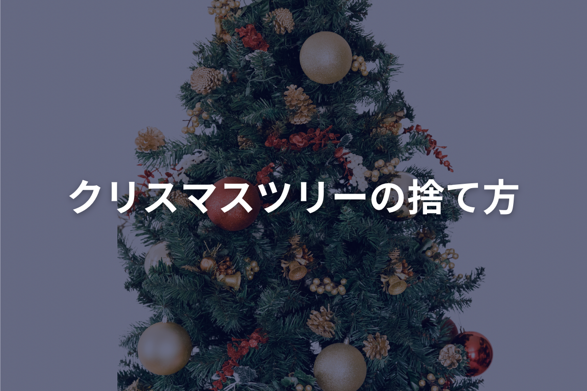 Direct from the pros! How to decorate your Christmas tree to make it standout from the crowdD- YouTube