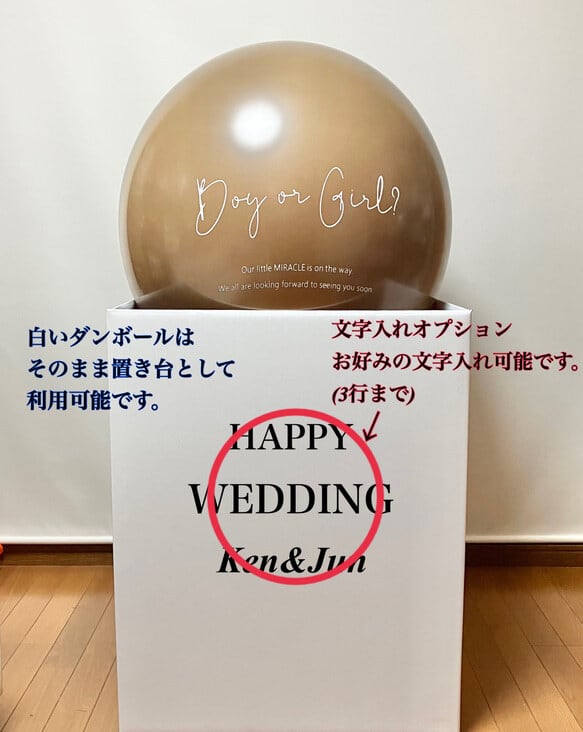 ジェンダーリビール・バルーンとは？赤ちゃんの性別お披露目はサプライズパーティーで♡美花嫁図鑑farny ファーニー お洒落で可愛い花嫁レポが満載！byプラコレ