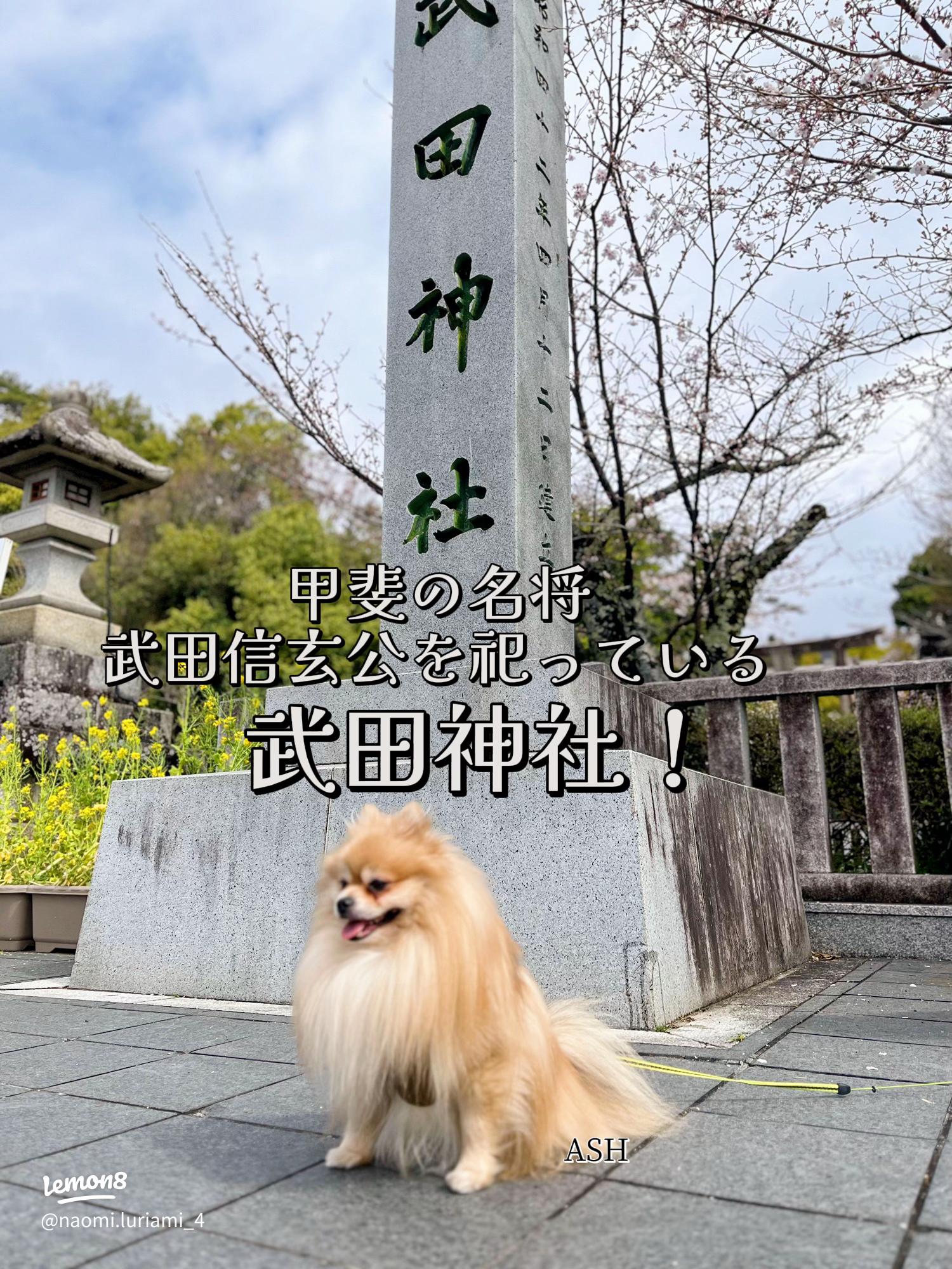 武田神社 御朱印 - 甲府市 山梨県Omairi おまいり