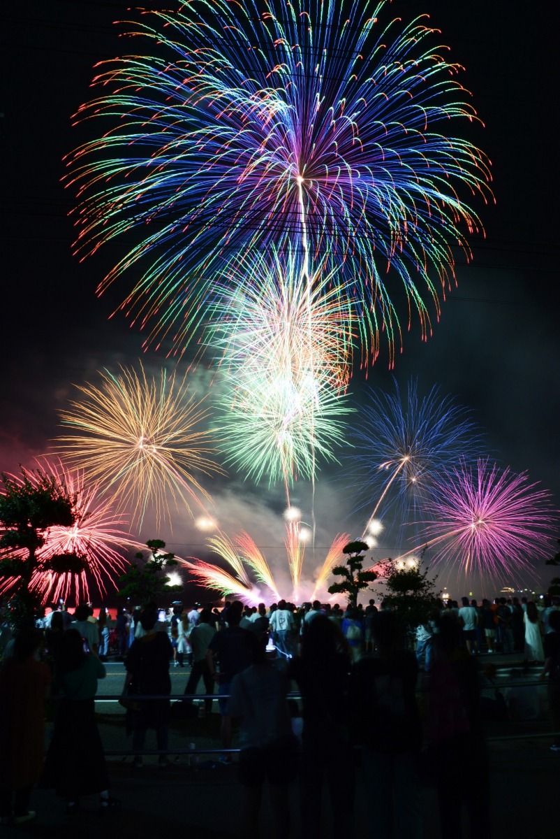 倉敷のイルミネーションならここ！「くらしき きらめきのみち」2022年も開催中KCTトクもりっ