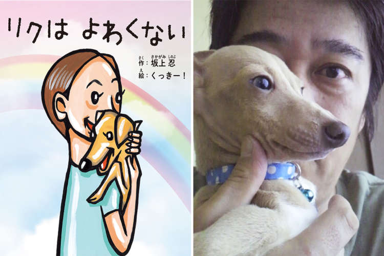 参加書店一覧 - ブックサンタ公式ホームページ