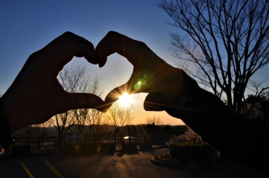 Amazon.co.jp: 風水香 恋愛運アップ ローズの香り : ホーム＆キッチン