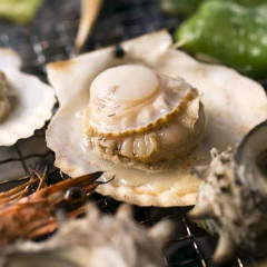 カメラロールと日記: うふふな瞬間を共有