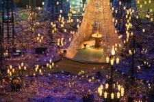 カレッタ汐留のイルミネーションに行ってみよう！2018年11月15日～2019年2月14日アクアリウムを静かにやりたいの