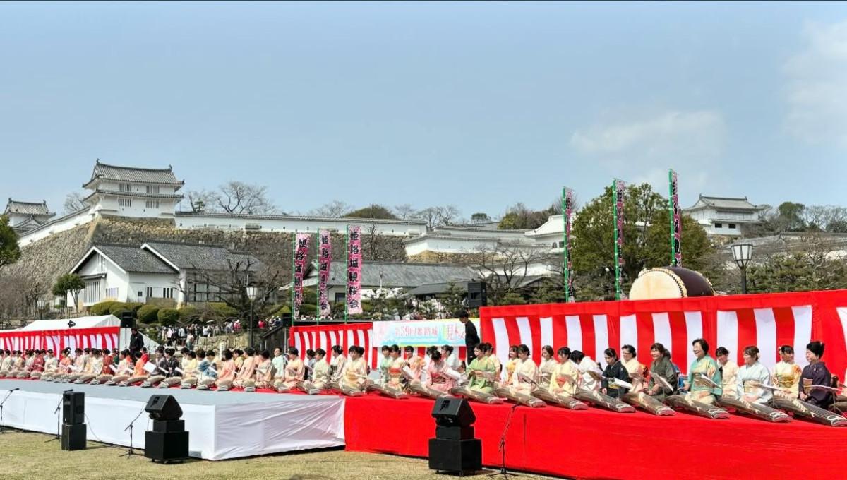 姫路市 姫路城 好古園 観月会 姫路城三の丸広場 イベント 入場無料 コミュニティ コミュニティFM 城 ライトアップ 夜