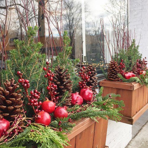 12 15 エリア７にクリスマス飾り - Ｎｉｗａ ｎｉｈａ Ｈａｎａ庭には花