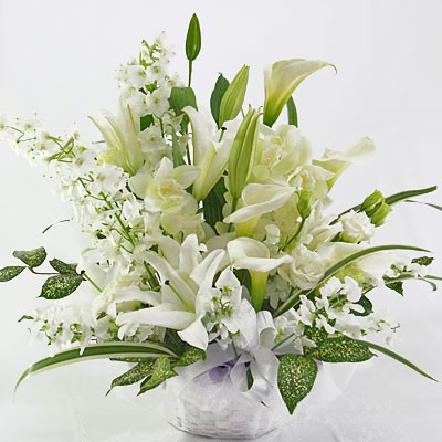 白とグリーンのコントラストが美しい花祭壇で送る ご葬儀事例葬儀・葬式・家族葬なら日比谷花壇のお葬式