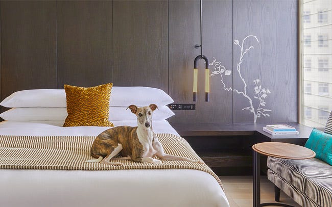 屋外のクリスマス ツリーの近くの雪の森で一緒に座っている犬と猫イラスト素材透過、PNGフリー画像ダウンロード - Pngtree