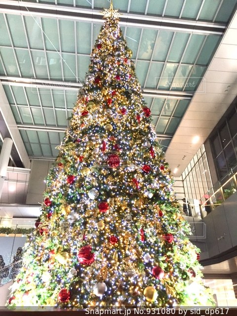 クリスマスツリー 345,190 クリスマスツリー Stock Photos, High-Res Pictures, and Images -Getty Imagesサンタクロース