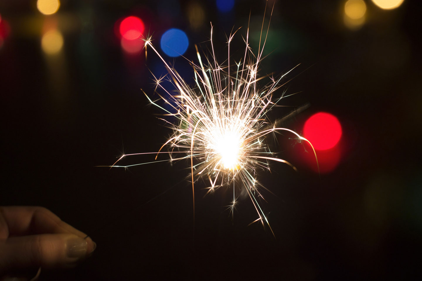 楽天市場 花火 手持ち花火 セット 「価格・品質比較して下さい！」 「楽しさと映えを意識した花火セット」 210本 インスタ 映え 花火 手持ち送料無料 高評価11時迄のご注文・決済確定で当日発送: The Perfect Sports