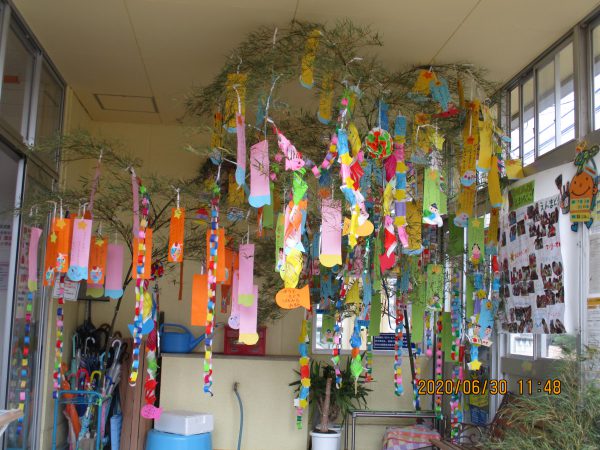 子どもと楽しく七夕飾りを制作しよう♪保育士を応援する情報サイト 保育と暮らしをすこやかに ほいくらし