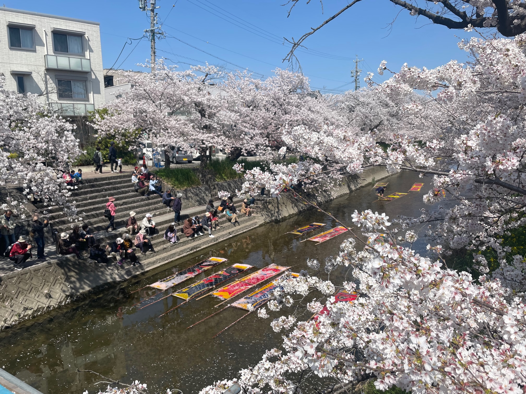 十四川桜まつり四日市市イベント情報集約サイト