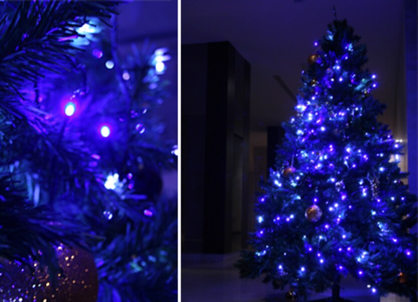 数量限定 Dalugo LED イルミネーションライト 電池式 フェアリーライト 6M 40球 キャンプ 庭対応 クリスマス 電飾LED 屋外 防水ストリングライト 室内 ガーランドライト タイマー機能 常時点灯 クリスマス飾り イルミネーション ライト クリスマス 誕生日 結婚式