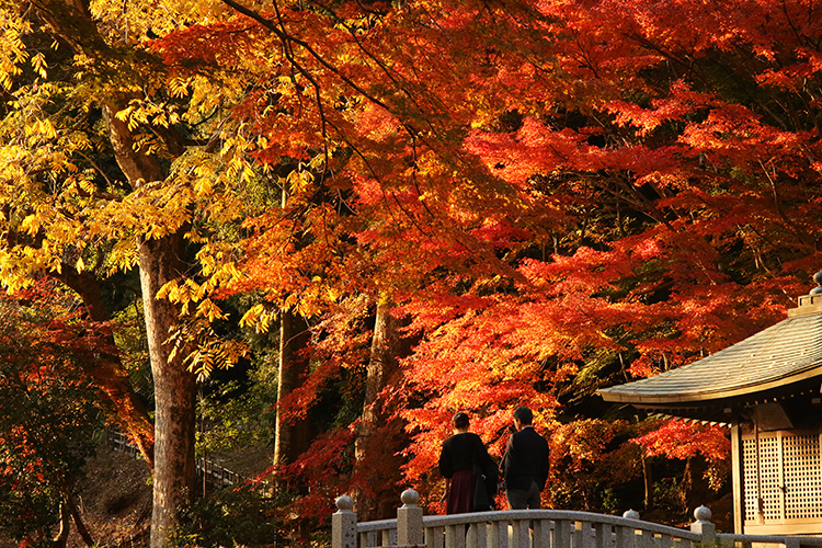 法多山祭事案内 季節の催し物