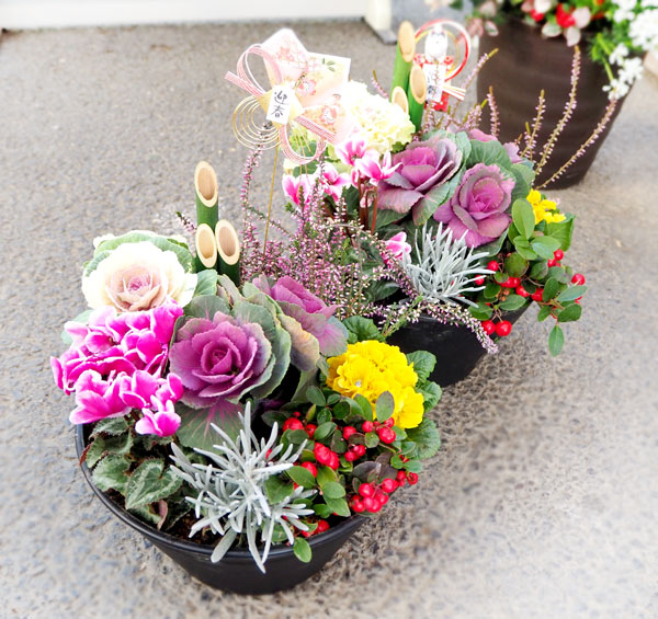 春まで長く楽しめる寄せ植え・クリスマスの寄せ植えガーデニング教室DIYホームセンター ジャンボエンチョ