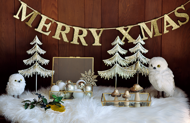 クリスマスに向けて装飾やイルミネーションをお考えの商業施設・宿泊施設ご担当者様へCOLUMN コラム INFORMATION株式会社グリーン ディスプレイ植物を用いてオフィスや商空間をグリーン溢れる空間にデザイン