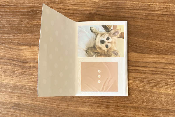 母の日に孫の写真を可愛く一工夫!作り方は?手作りでも簡単プレゼント - Life-Dictionary