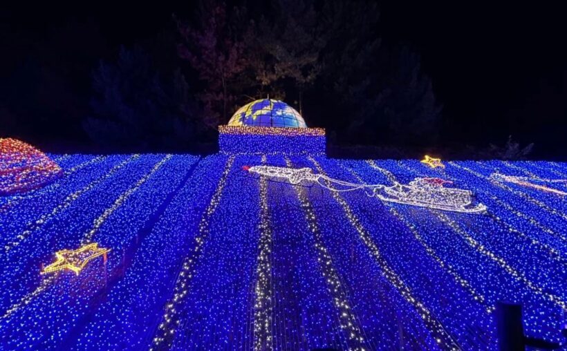 11月下旬⇒1月≪冬の花と光たち≫とっとり花回廊