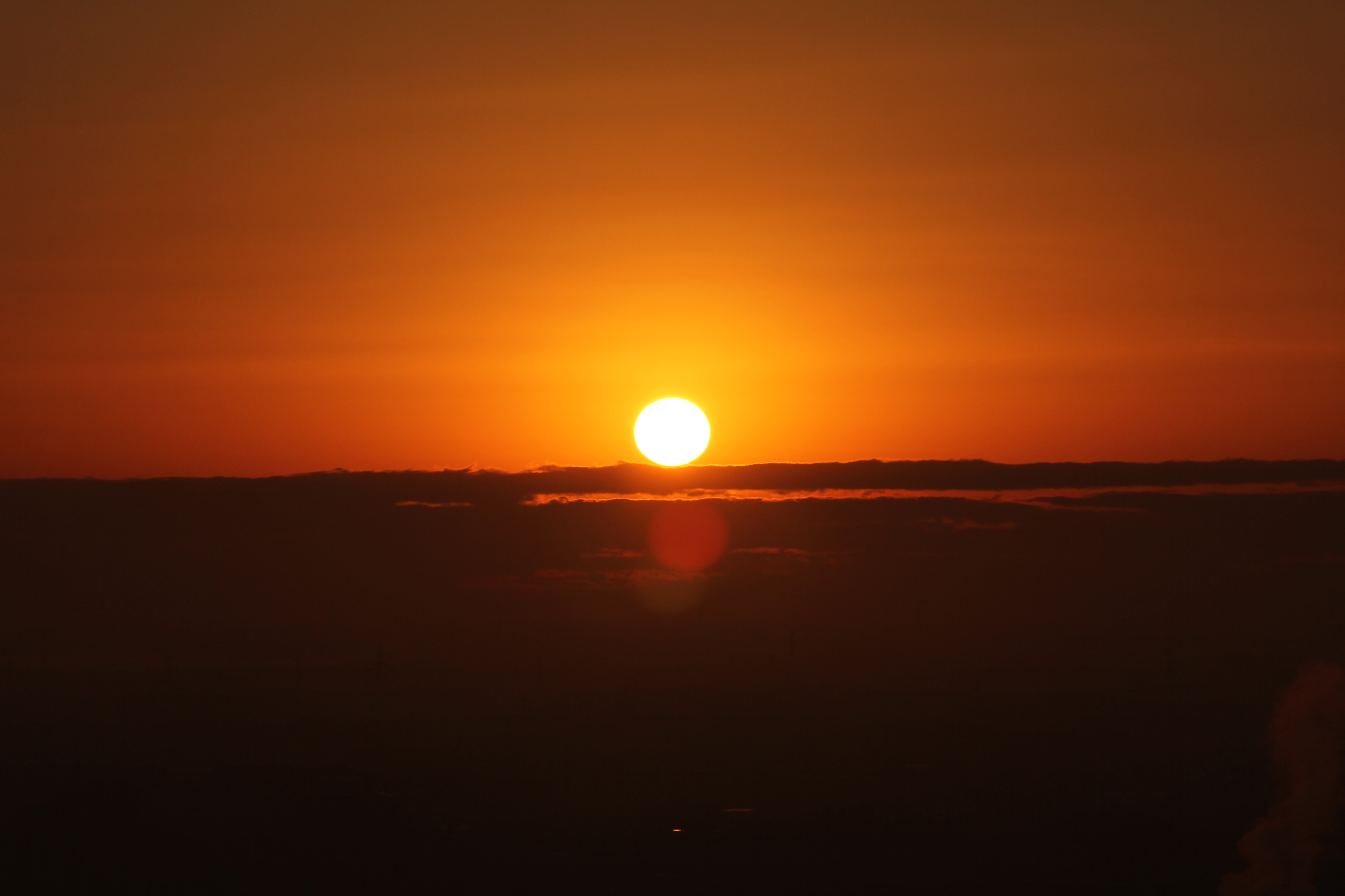 写真まとめ 集まった人たちから歓声 東京、大阪などで初日の出：朝日新聞