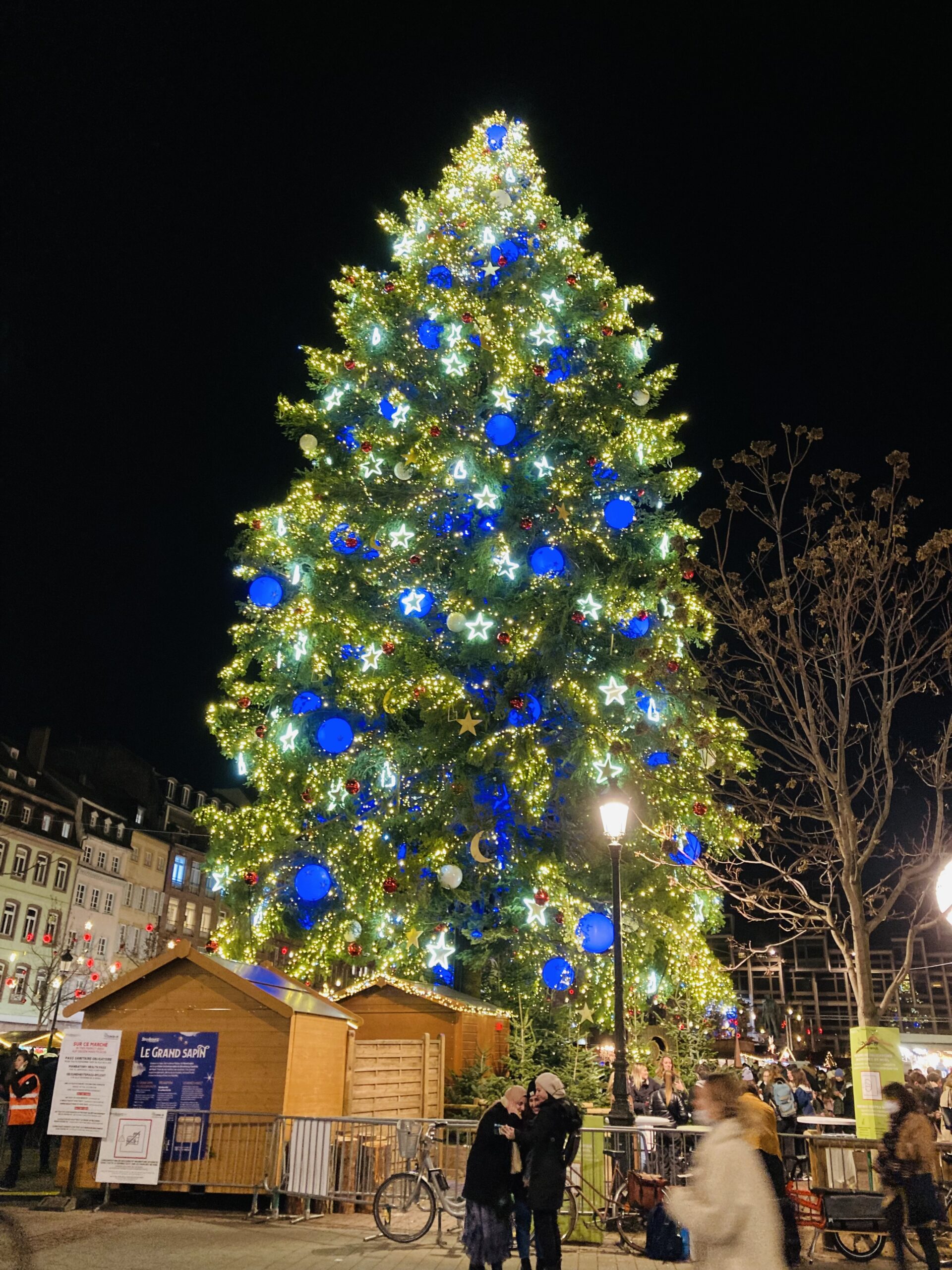 クリスマスごとに2000万本以上がごみに ! ツリーは使い捨てからシェアの時代へウェブマガジンthinkThink the Earth