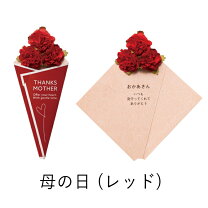 楽天市場 ☆速達配送☆母の日カード _008サイズ 枚数選べます名刺サイズ 91×55mm 写真L版サイズ89×127mm 選べます母の日ラッピングに ギフトカード : メイドインたんたん