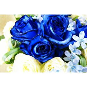 3月5日の誕生色「ブルー・ライト」の色見本・カラーコードバースデーカラー 誕生色大全