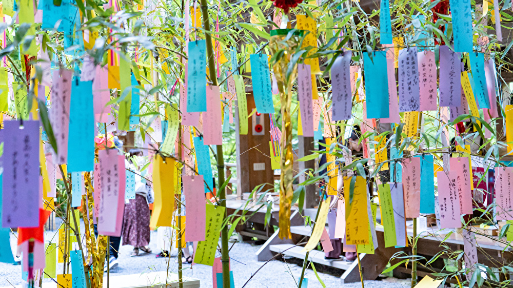 七夕の願い事は中国の風習がルーツ│飾りの意味や七夕のイベントをご紹介Domani
