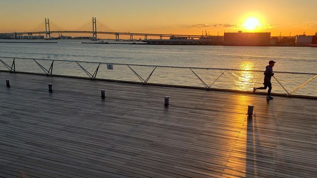 横浜で初日の出なら「臨港パーク」が穴場スポットブルーログ