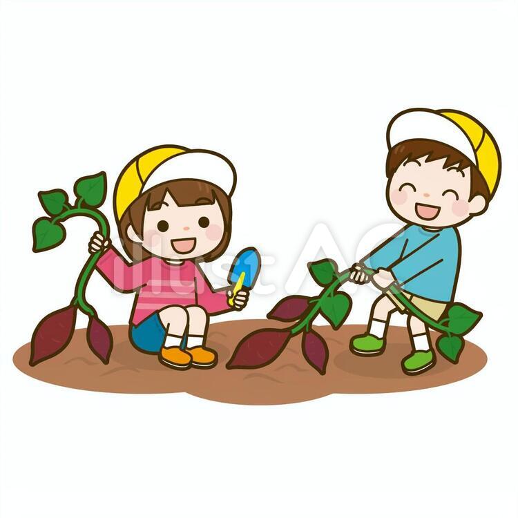 いも掘りイラスト無料イラスト・フリー素材なら「イラストAC」