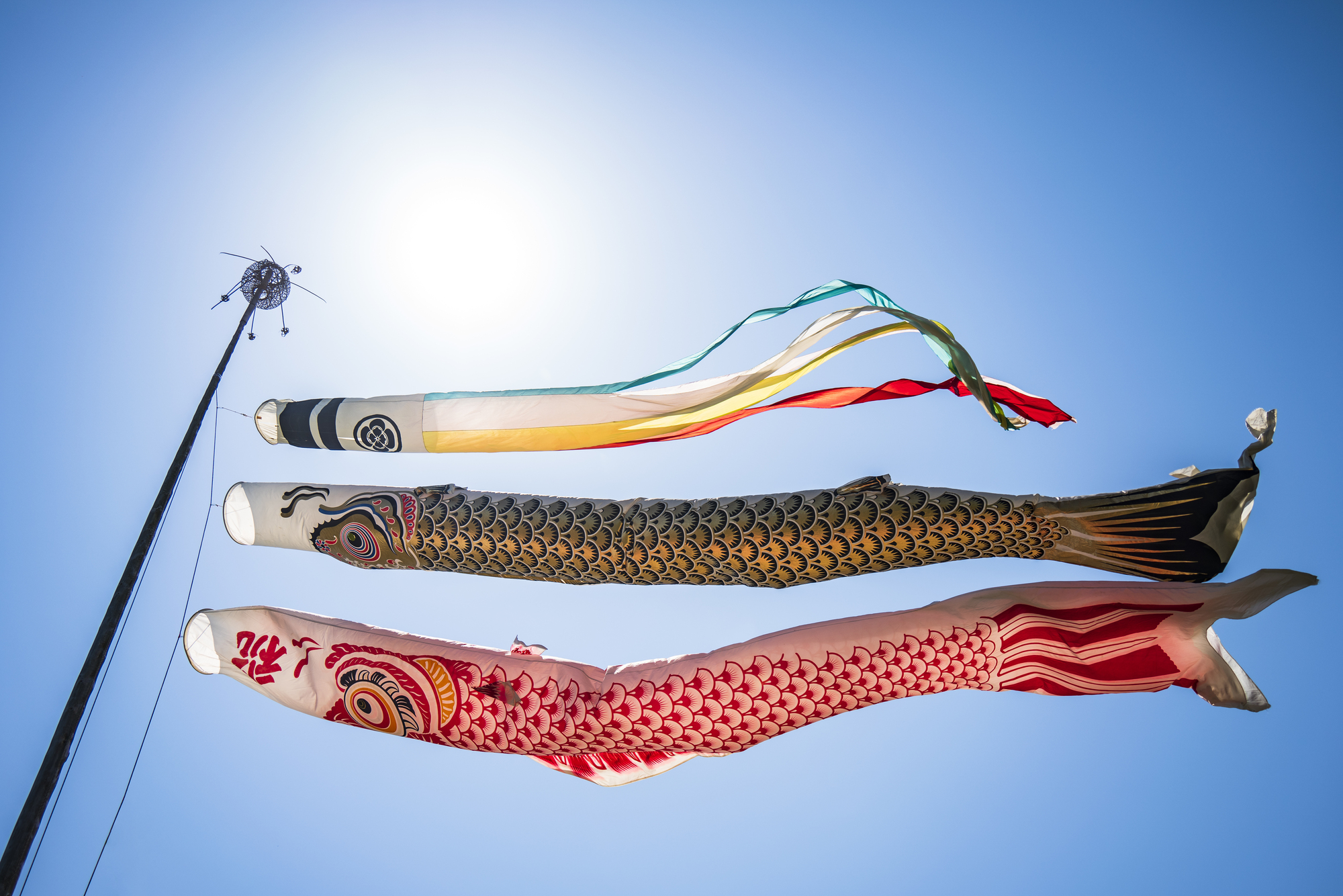 鯉のぼり 吹流しにも意味がある