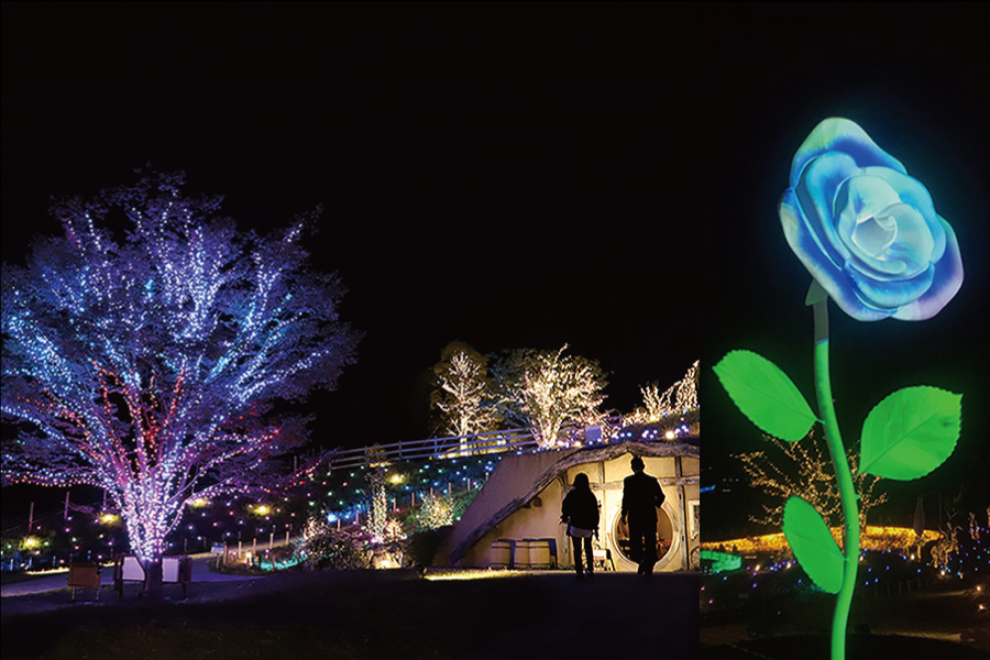 ローザンイルミ2020ローザンベリー多和田