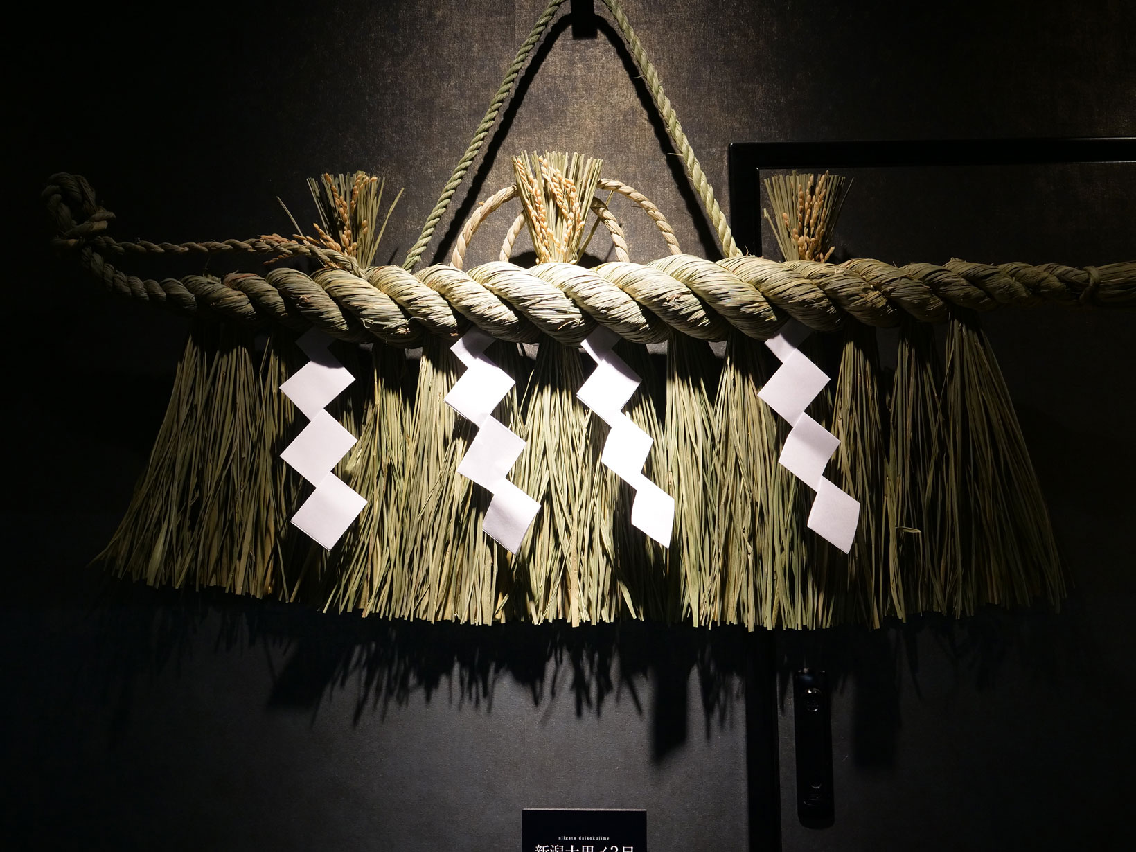 三森 典彰身近な素材からしめ縄を作り、オリジナルの正月飾りで新年を迎えよう！WILD MIND GO! GO