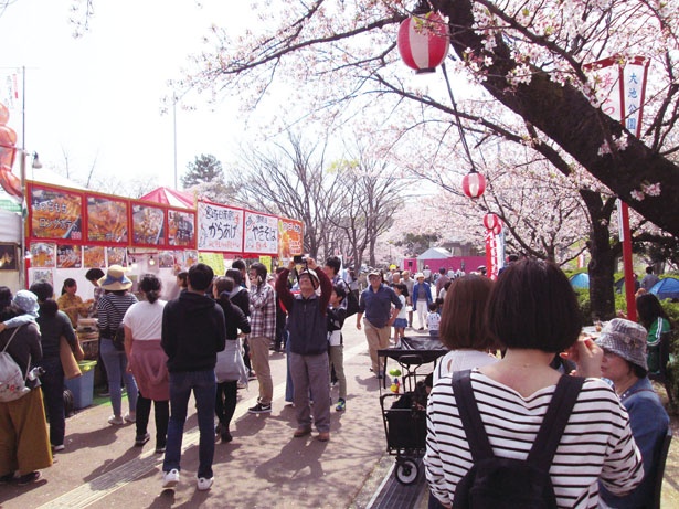 大池公園桜まつり 2022 – イルミネーションデザイナー芦木浩隆デザイン事務所