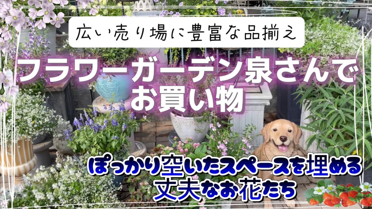 小田原フラワーガーデン体験・観光スポット公式 神奈川県のお出かけ・観光・旅行サイト「観光かながわNOW」