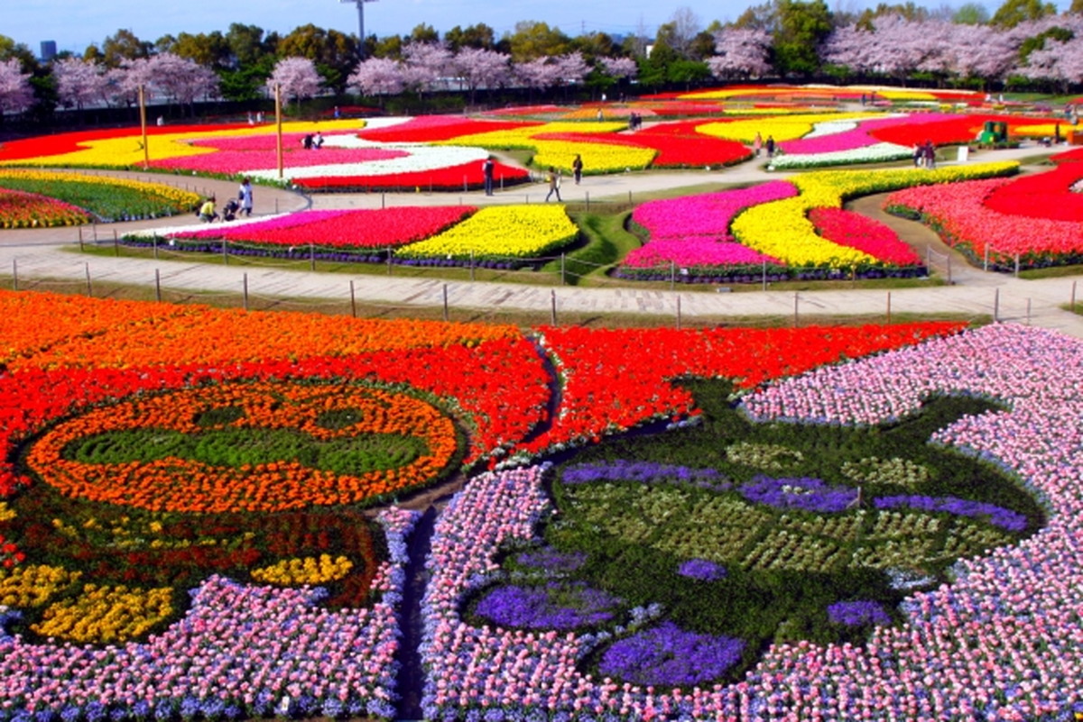 国内最大級 なばなの里 イルミネーションの周り方攻略