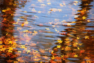 小布施町の霊園「癒しの里霊園」について - 信州小布施パワースポット真言宗豊山派浄光寺