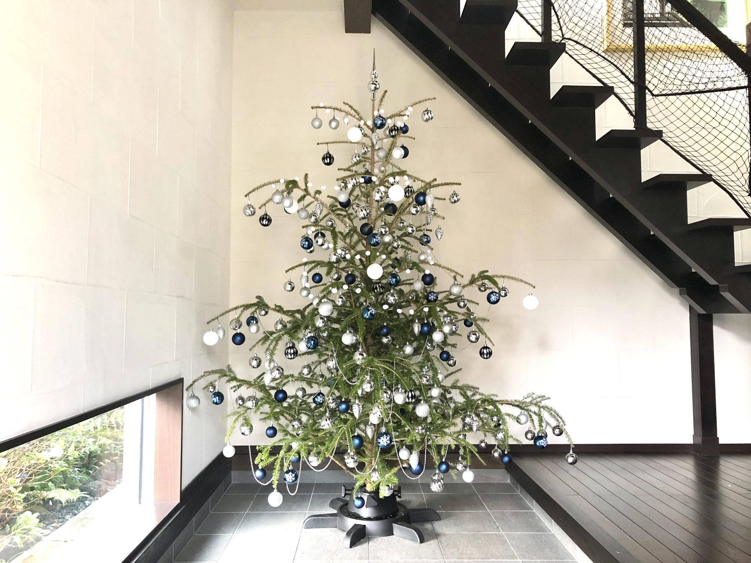 g156016オーナメントセット Schnee 高さ60cm 白樺風ツリー+オーナメント クリスマスツリー家具・インテリア通販は家具350 公式