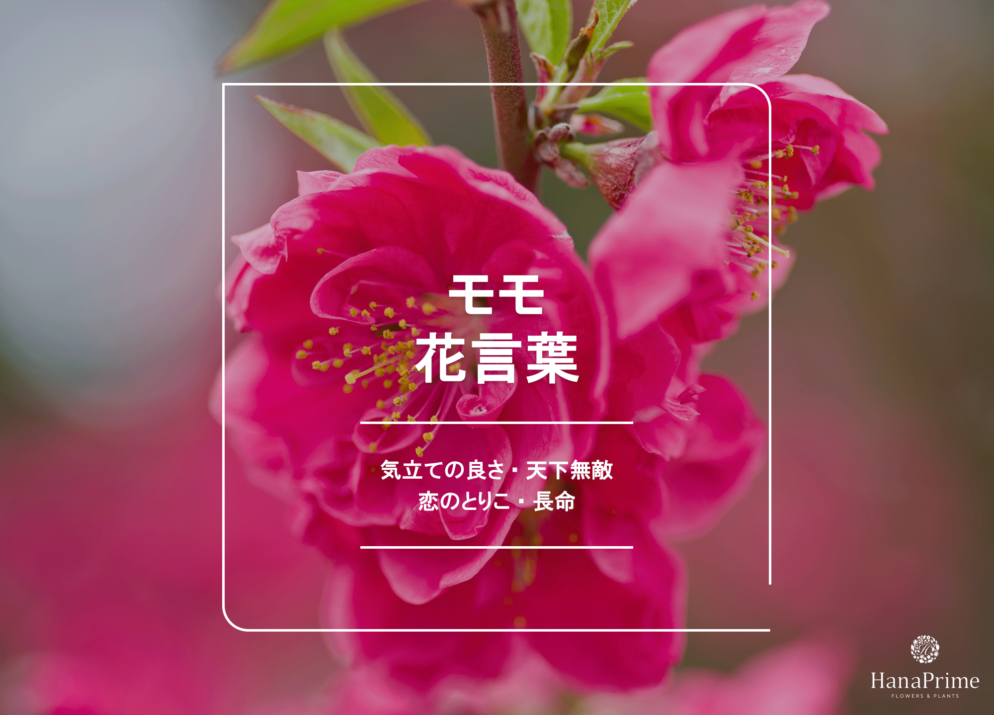 名称由来 - 氷見市の社会福祉法人三福