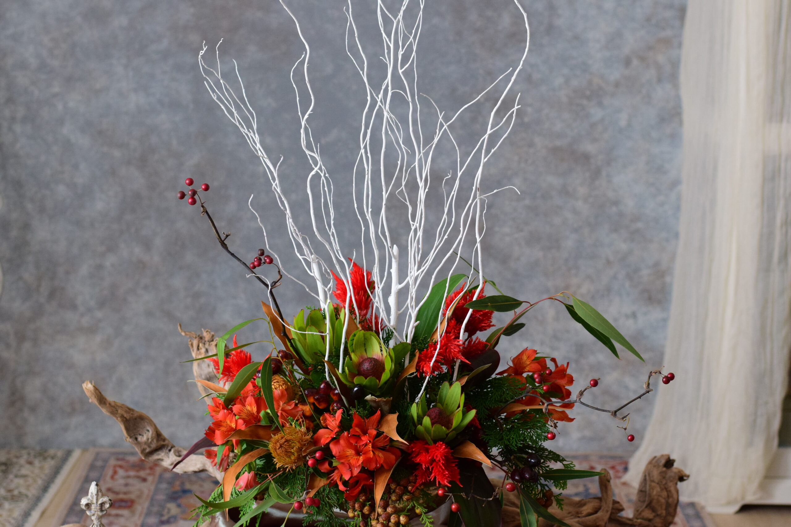 ポインセチア 5号鉢 赤 ピンク 白 クリスマス クリスマスの花 12月の花 12月誕生花 冬の花 お誕生日 プレゼント 引っ越し祝い 新築祝い お礼お年賀 還暦祝 いプレゼント交換 冬ギフトの評判・口コミocruyo オクルヨ