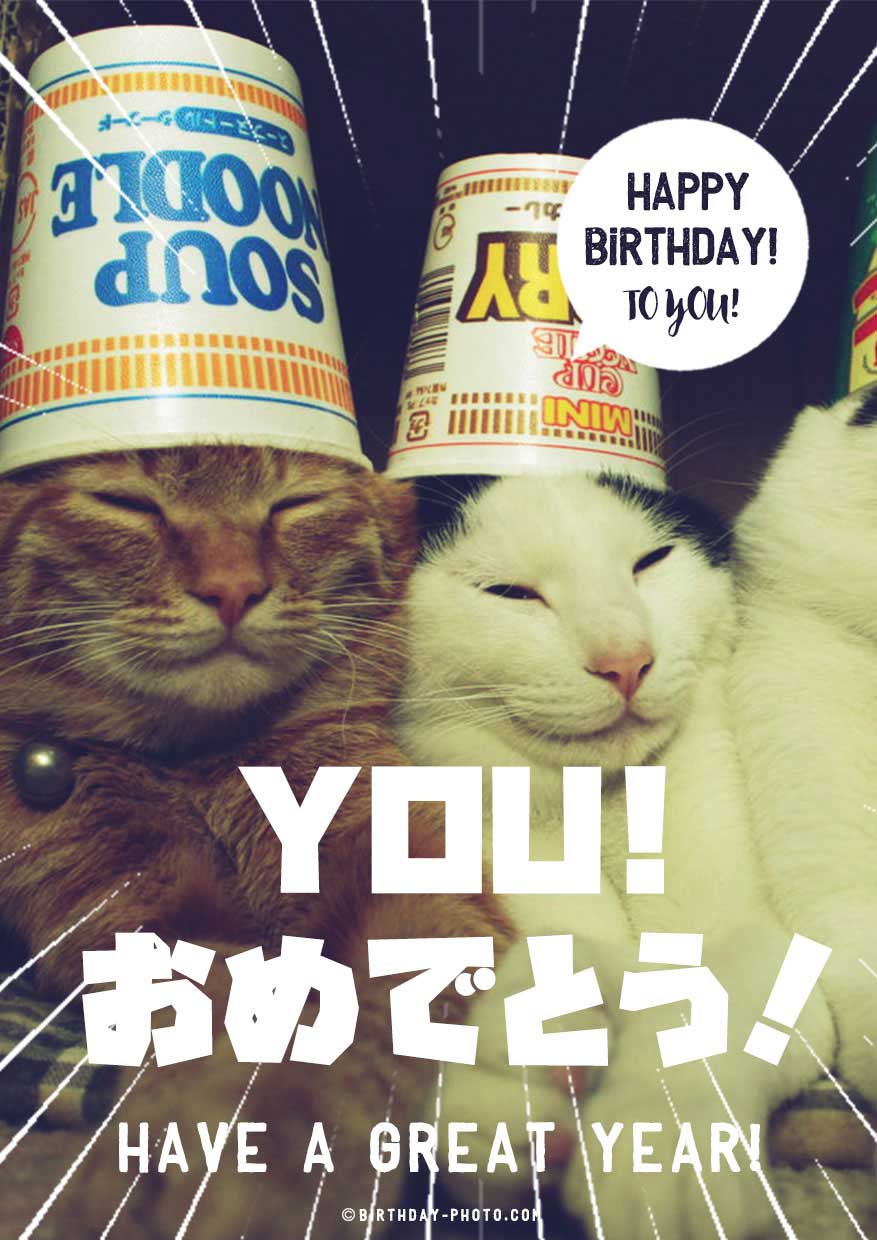 笑える動物おもしろ画像でお誕生日メールをおくろう