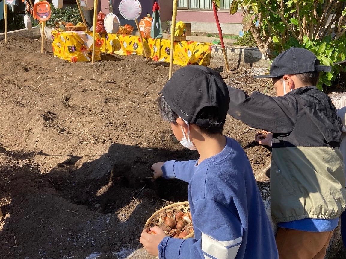 シント・マールテン Sint MaartenLekker