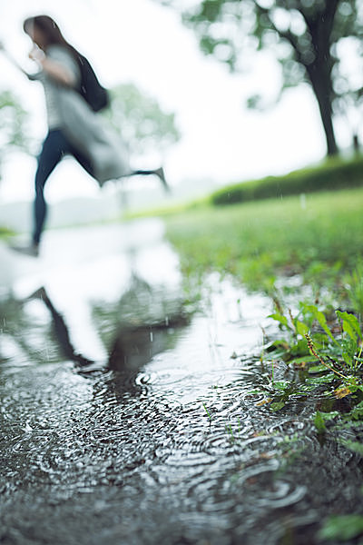 ことばの玉手箱夏をあらわす美しいことば ー 雅語・和語・大和言葉