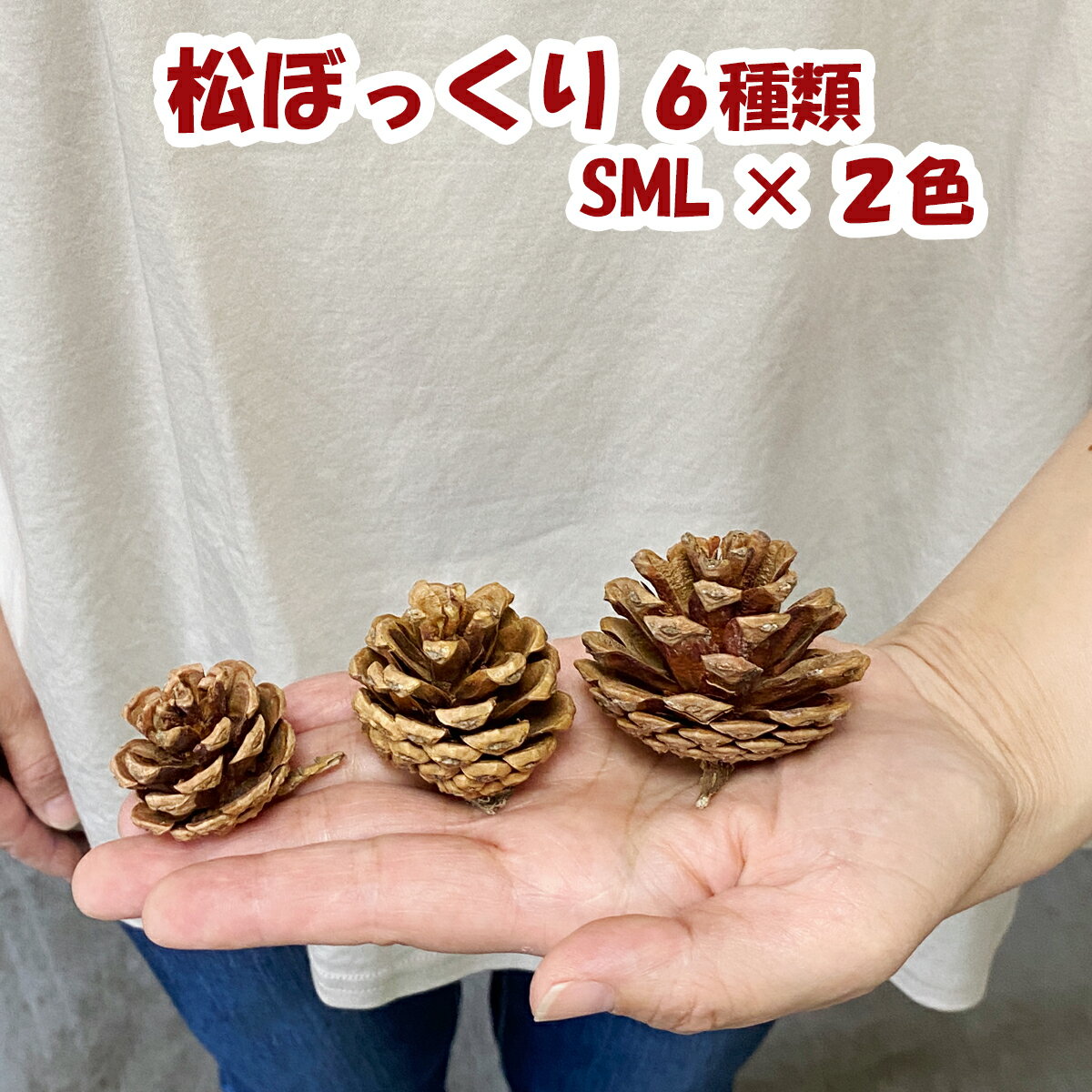 正月準備 ワイヤーで巻き付けるだけ簡単ハンドメイド♪しめ縄飾りを作りました お正月飾り2025わが家のここち