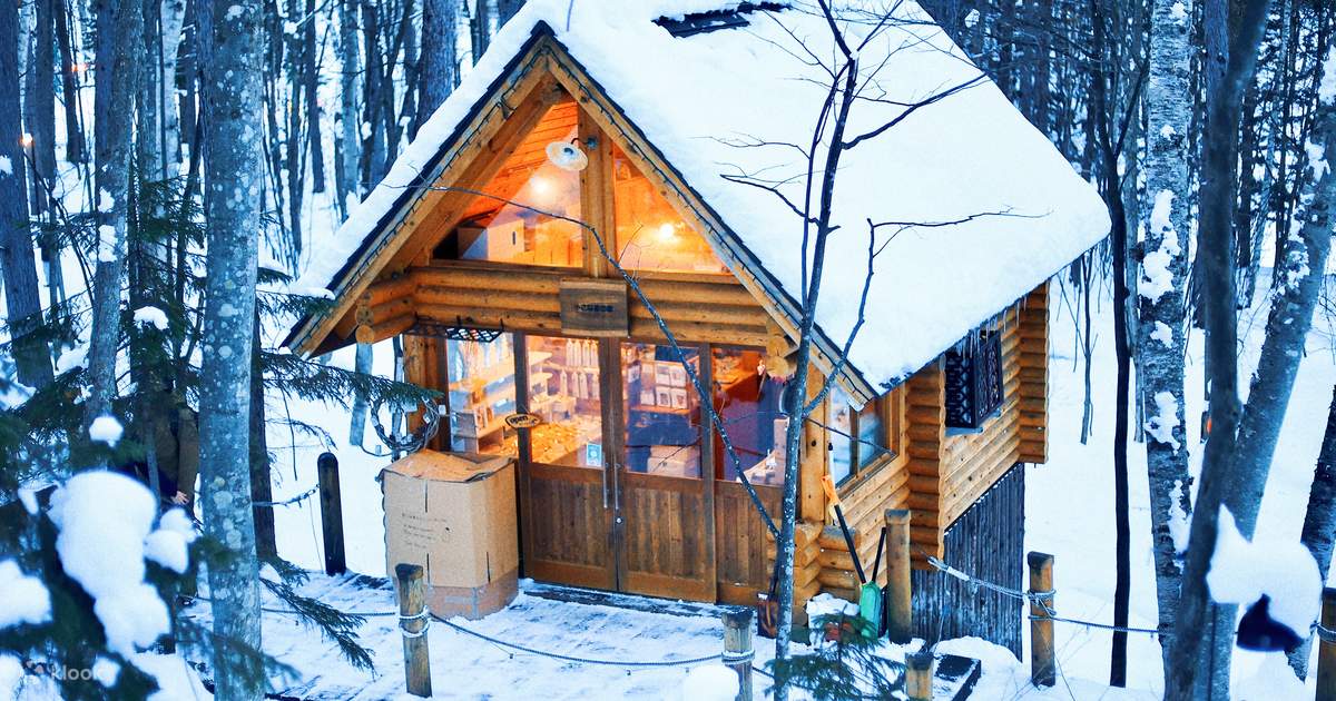 美瑛の丘とクリスマスツリーの木 01010023806 の写真・イラスト素材アマナイメージズ