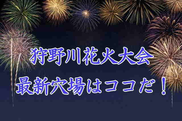 26日 土 27日 日 に沼津で沼津夏まつり・狩野川花火大会開催予定 - イベとぴ ～ふじ楽いず楽～