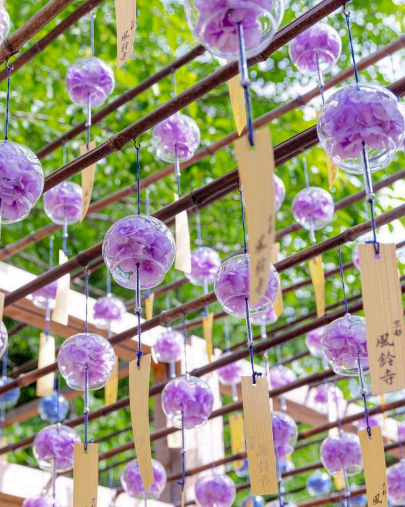 正寿院で涼しげな風鈴の音色に癒されてみませんか？ Masaの関西カメラさんぽvol.32 るるぶ&more