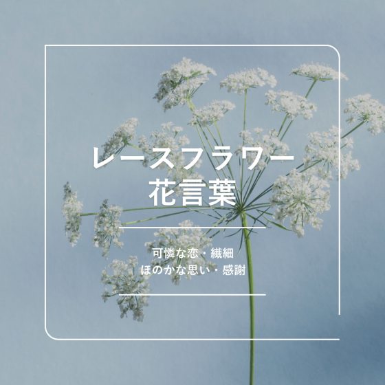10月16日 誕生花:ビデンス・トリプリネルヴィア 花言葉:もう一度愛します365日の誕生花花キューピットビデンストリプリネルヴィアウインターコスモス曼荼羅アート点描曼荼羅心震わす曼荼羅花曼荼羅10月16日10月生まれ毎日曼荼羅誕生日おめでとう