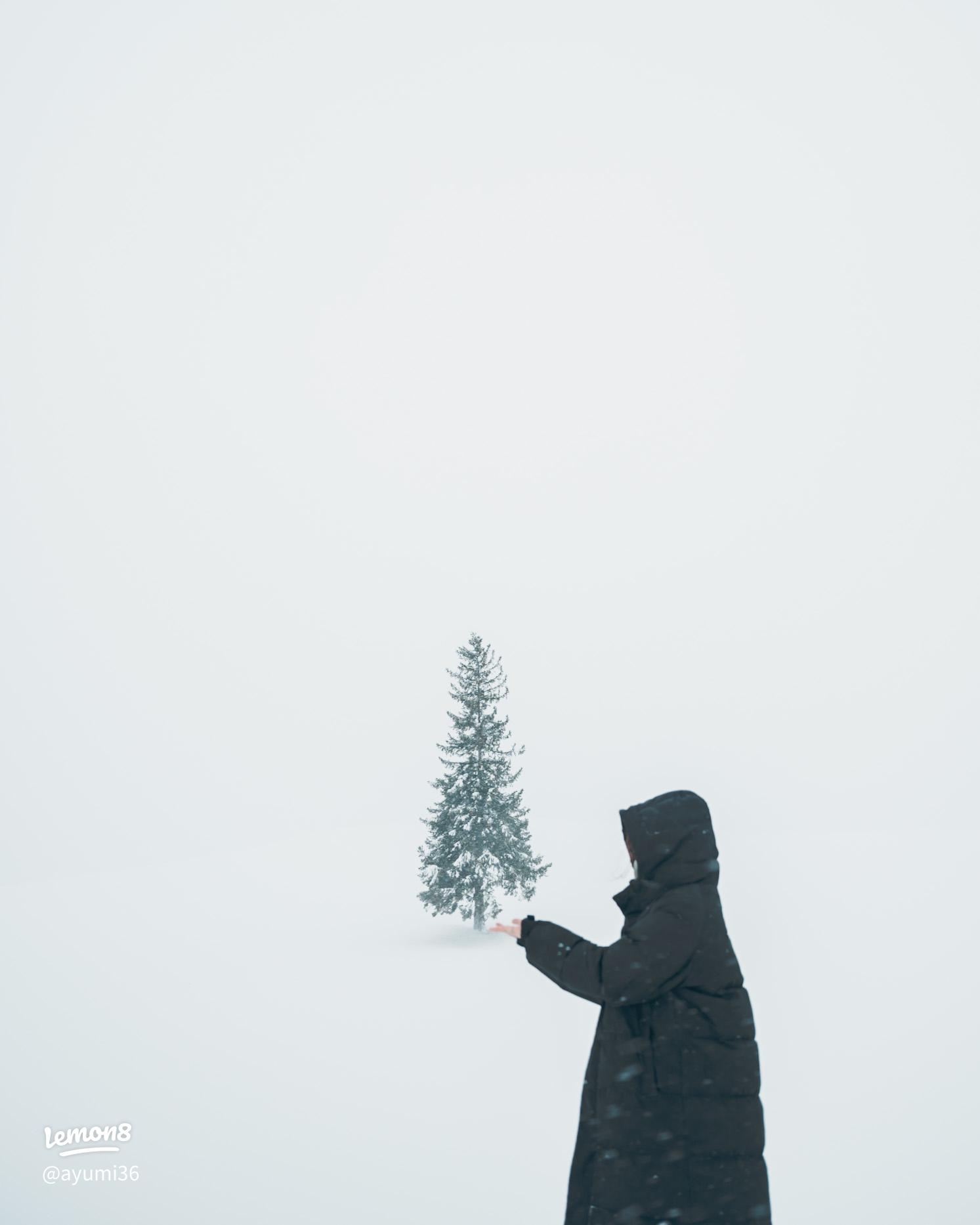 北海道の雪景色にポツンと立つ「クリスマスツリーの木」が幻想的って話題なの。冬旅の行き先としていかが？ - isuta イスタ-私の“好き”にウソをつかない
